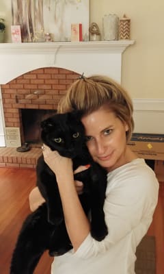 Fluoxetine Compounded Formulations Vetrxdirect Pharmacy