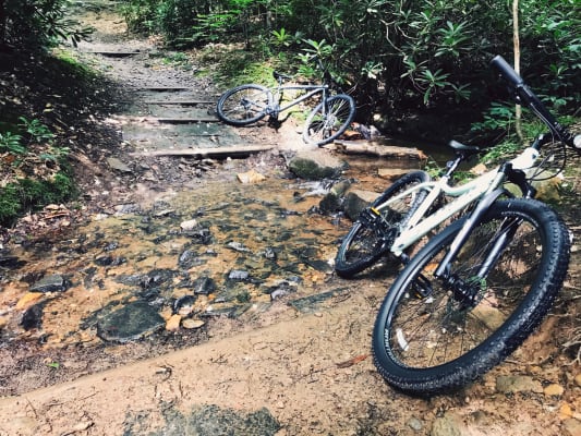 trek skye ladies mountain bike