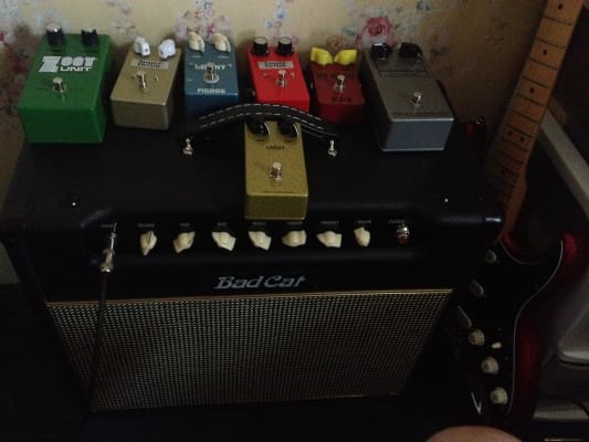 Bad Cat Cougar 15 15w Class A Tube Guitar Combo Amp Musician S