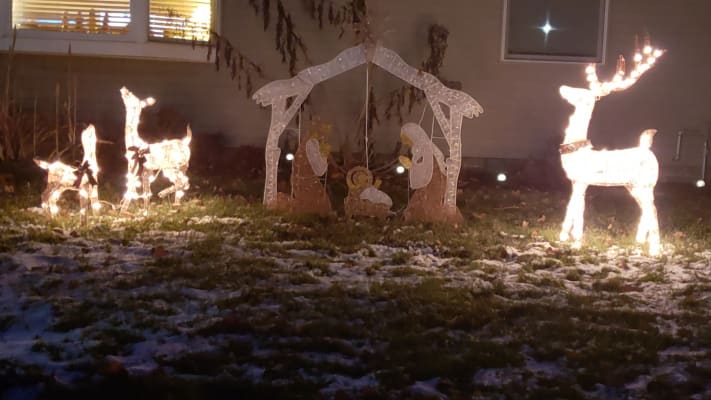 Winter Wonder Lane Brown Glittering Light Up Buck 60 Big Lots