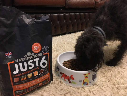 harringtons just 6 dog food