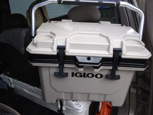 igloo cooler 24 qt