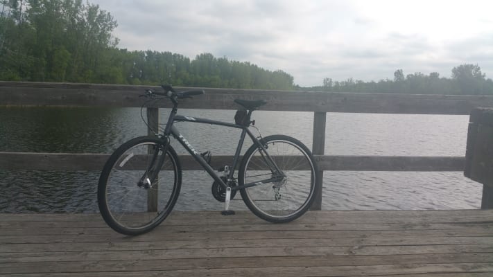 trek verve 1 canada