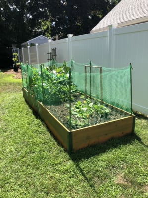 plastic rabbit fence