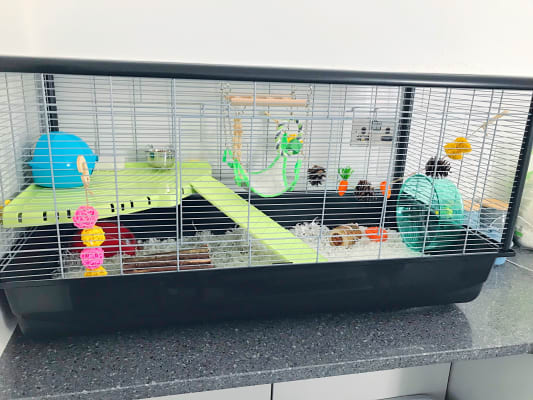 savic plaza hamster and rat cage