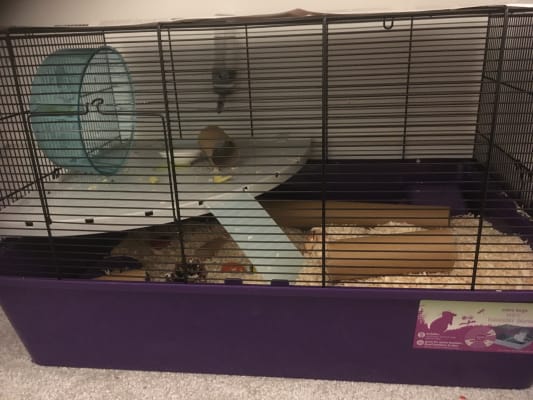 Pets at home xl hamster cage on sale