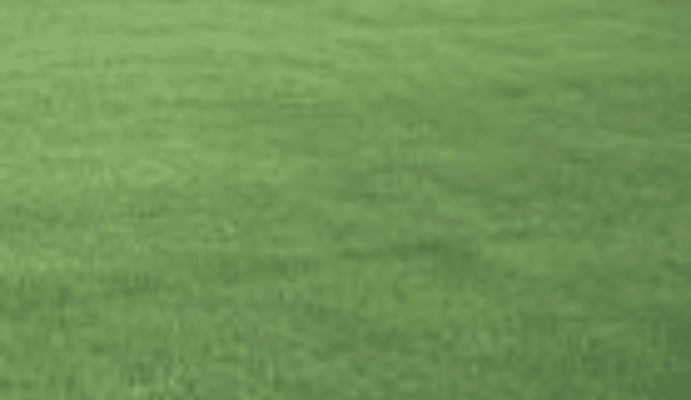 Texas Bermudagrass Grass Seed Pennington