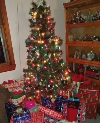 Winter Wonder Lane 4 Yuletide Green Pre Lit Artificial Christmas Tree With Clear Lights Big Lots