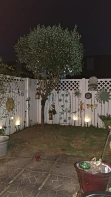 Wilson Fisher Solar Led Globe Light Set 40 Count Big Lots
