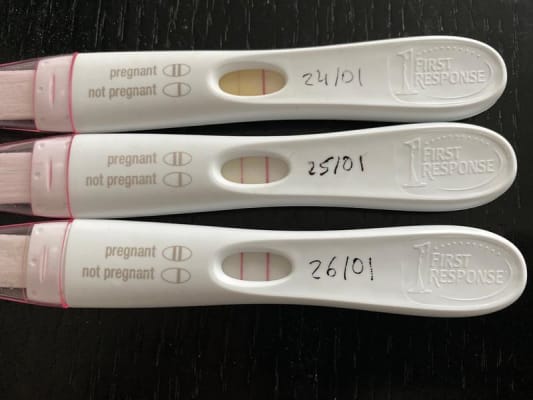 First Response Early Result Pregnancy Test Dollar General