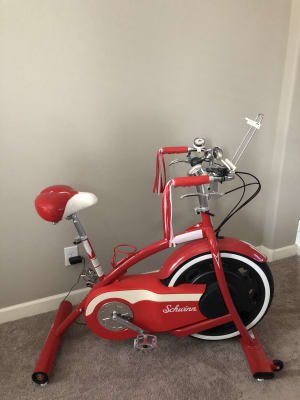 schwinn cruiser exercise bike