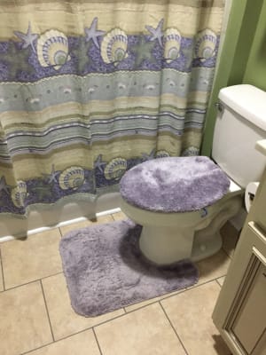 Aprima Aprima Lavender Bath Rugs Big Lots