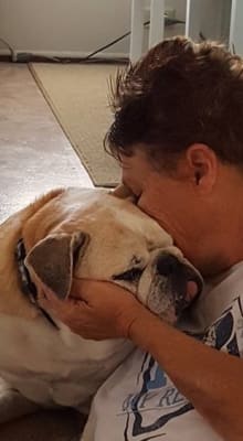 optimmune cyclosporine for dogs
