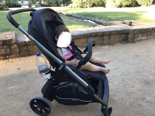 inglesina aptica weight