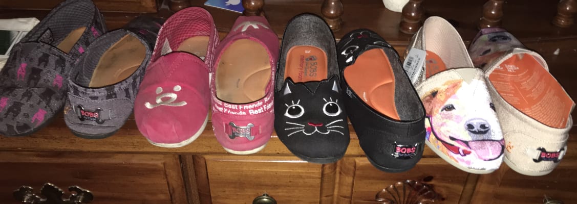 skechers bobs cattitude