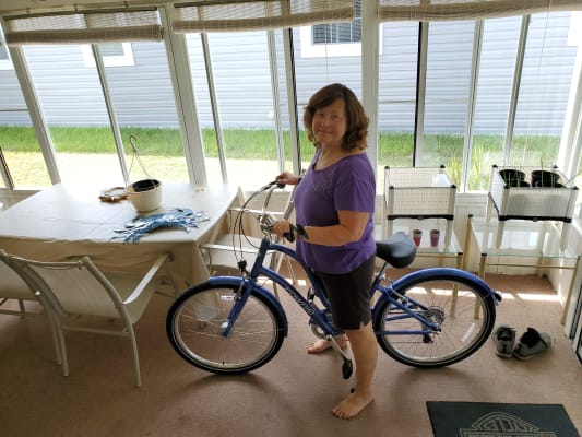 Townie Original 7d Eq Step Thru Trek Bikes Ca