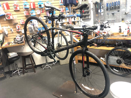 trek fxs5