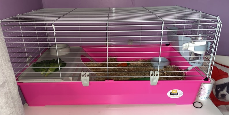 ferplast 100 rabbit cage
