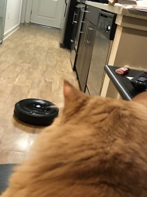 Roomba E5 Robot Vacuum Irobot