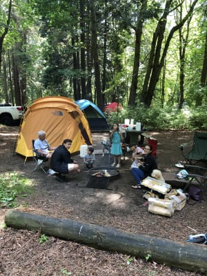 the north face wawona