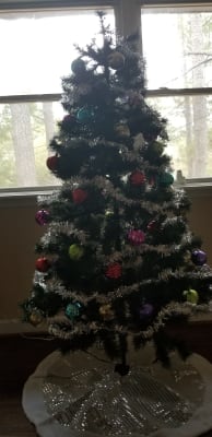 Winter Wonder Lane 6 Sentiments Multi Color Pre Lit Artificial