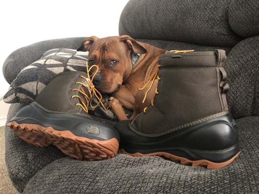 north face men's tsumoru winter boots