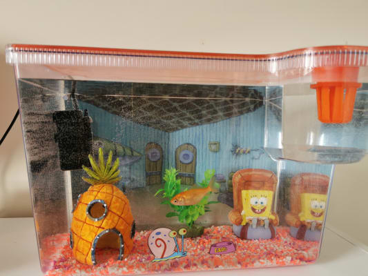 spongebob aquarium kit