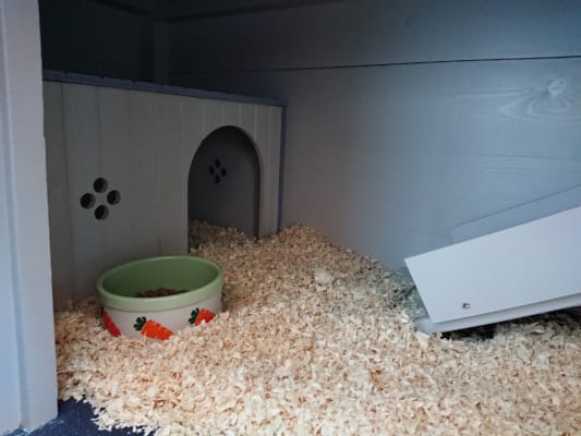 Ferplast maxi rabbit and guinea sales pig hideaway