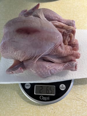 Chicken - Whole Bird - Certified Organic - Pasture Raised – Waseda