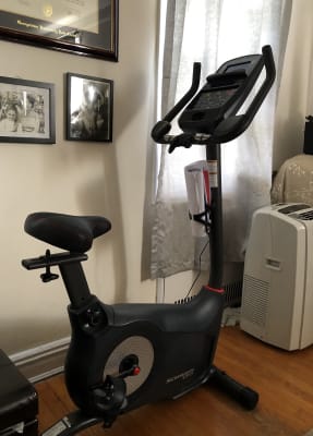 schwinn 170 exercise bike