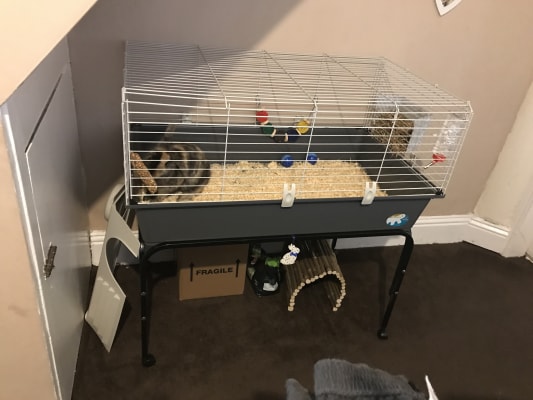 Indoor guinea pig cages with stands sales