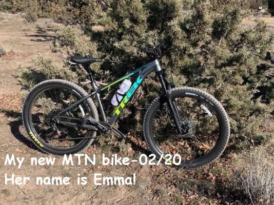 trek roscoe 7 2019 volt green