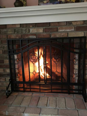 Small Two Door Fireplace Screen With Glass Floral Panels Black