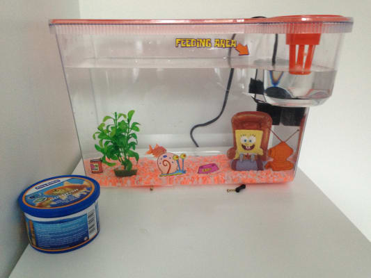 pets at home peppa pig fish tank