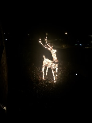 Winter Wonder Lane Brown Glittering Light Up Buck 60 Big Lots
