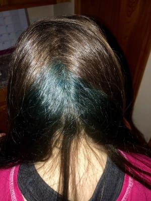 Vegan Cruelty Free Natural 30 Wash Hair Dye Splat Hair Color