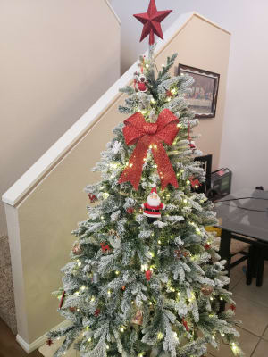 Pre Lit 6 Flocked Christmas Tree W Clear Led Lights Big Lots
