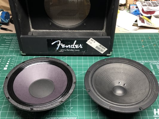 ragin cajun speaker 10