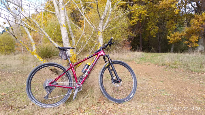 trek procaliber 9.7 rage red