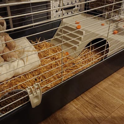 ferplast 100 rabbit cage