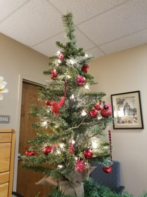 3 Mini Pre Lit Cashmere Christmas Tree Big Lots