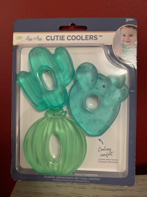 itzy ritzy cactus teether