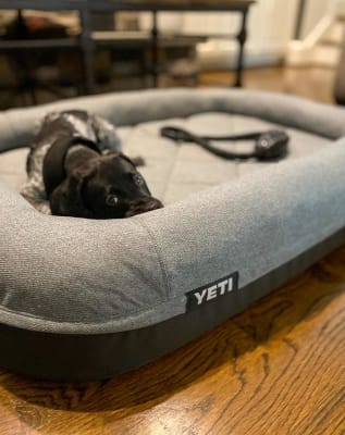 yeti trailhead dog bed
