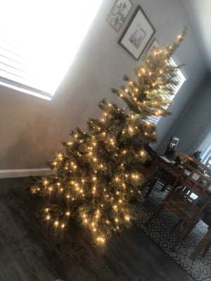 Winter Wonder Lane 6 Jackson Pre Lit Cashmere Artificial