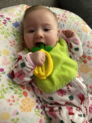 itzy ritzy lemon teether