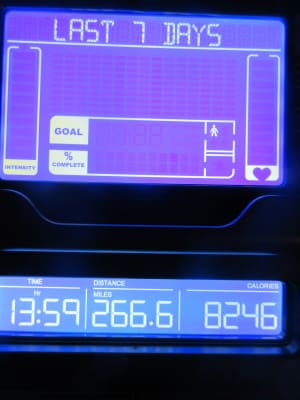 Schwinn 170 Upright Bike Nebraska Furniture Mart