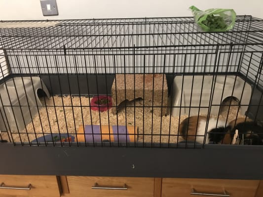 140cm rabbit cage