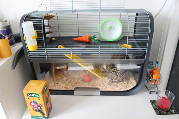 modern hamster cage