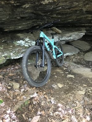 trek remedy 15.5