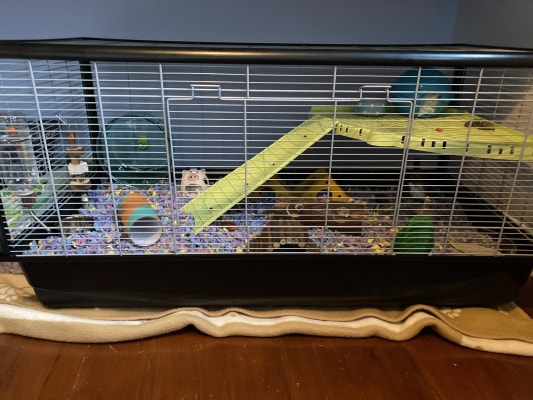 savic plaza hamster and rat cage